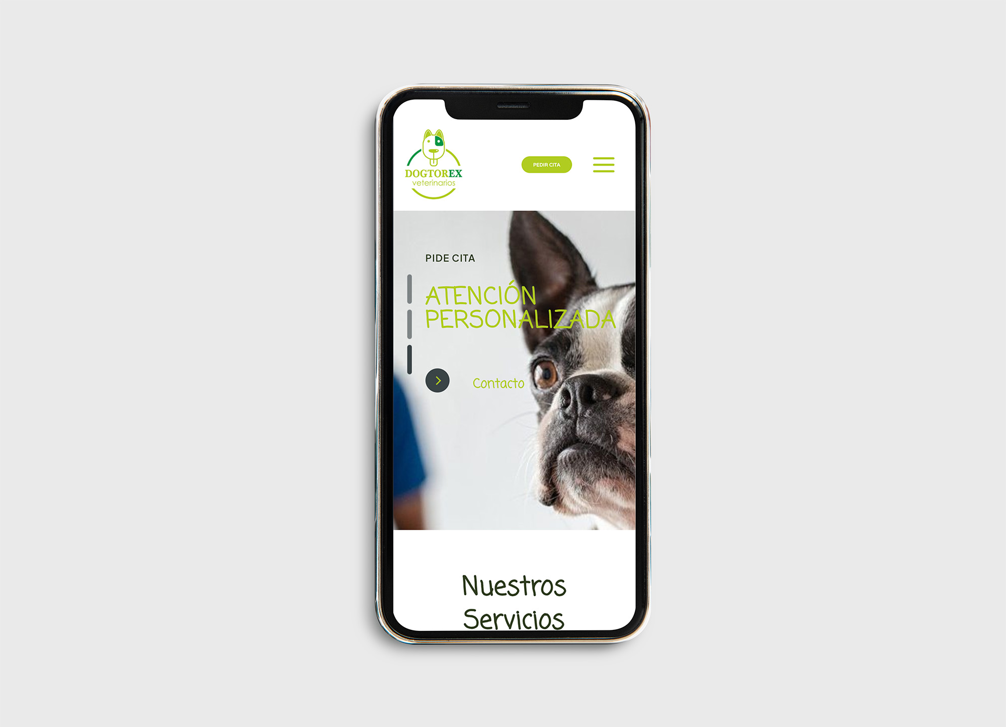 CLINICA DOGTOREX