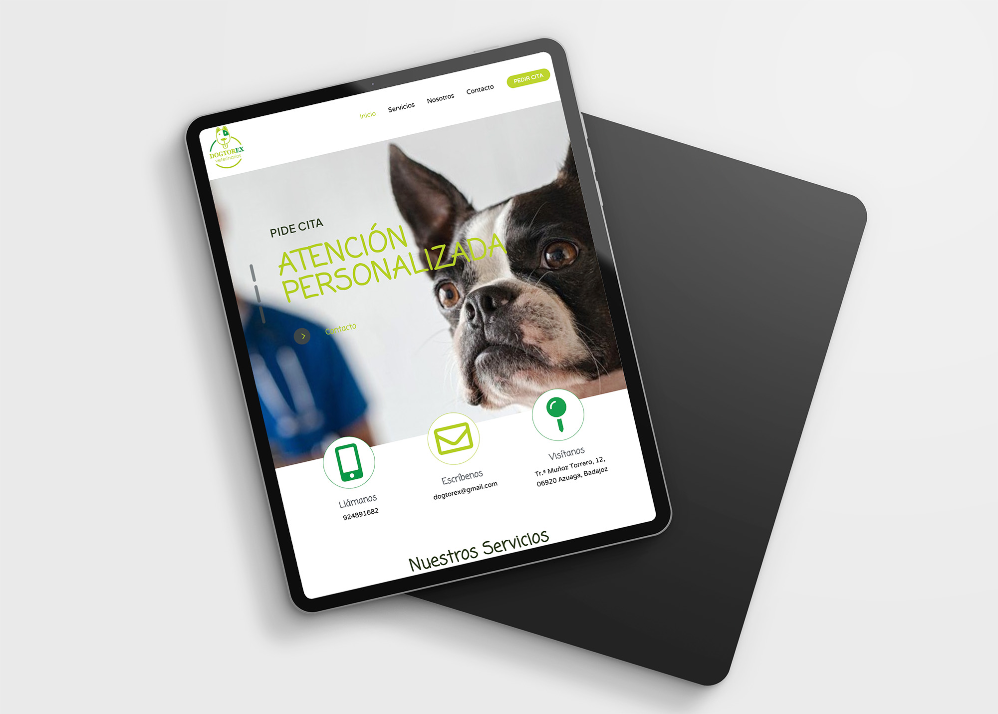 CLINICA DOGTOREX